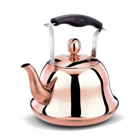 Whistling Kettle For Gas Stove Bouilloire 2l Stainless Steel Whistle Teabottle|water Kettle