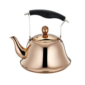 Whistling Kettle For Gas Stove Bouilloire 2l Stainless Steel Whistle Teabottle|water Kettle - gold